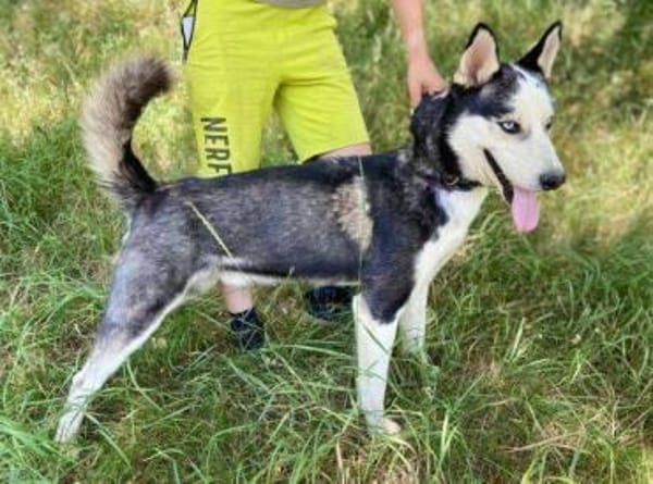 Menschenbezogener NAVARO