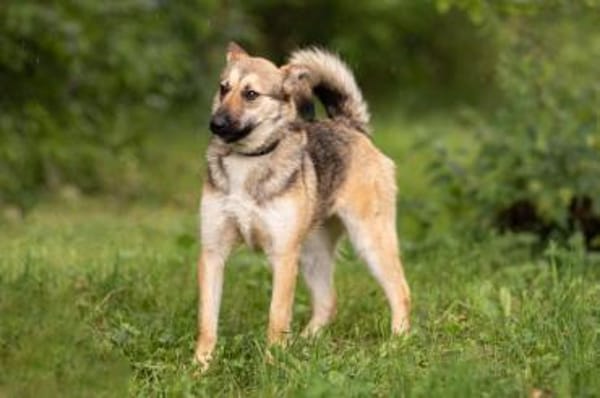 MARTINA- liebt Spaziergänge