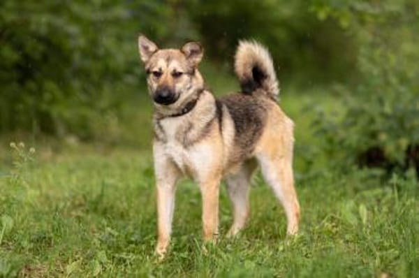 MARTINA- liebt Spaziergänge