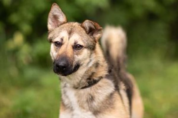 MARTINA- liebt Spaziergänge