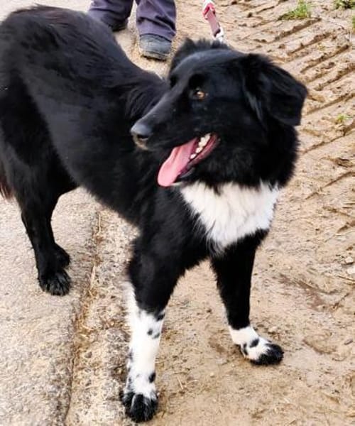 ❤Finja  jung & voller Lebensfreude...