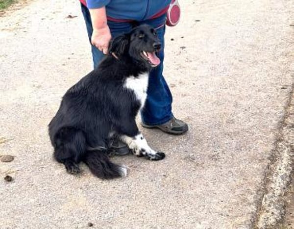 ❤Finja  jung & voller Lebensfreude...