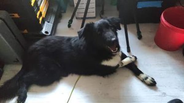 ❤Finja  jung & voller Lebensfreude...