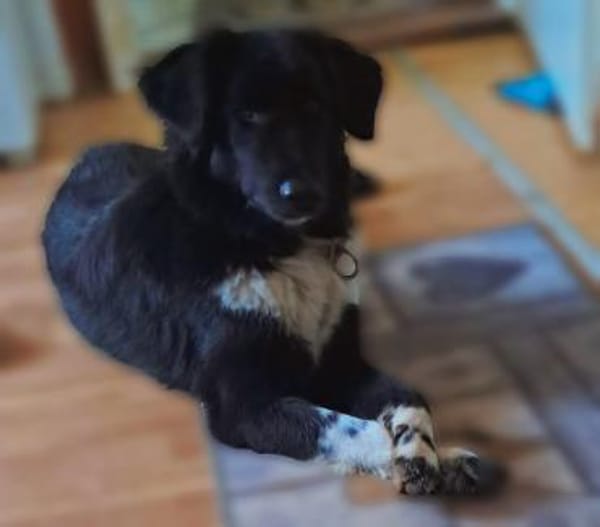 ❤Finja  jung & voller Lebensfreude...