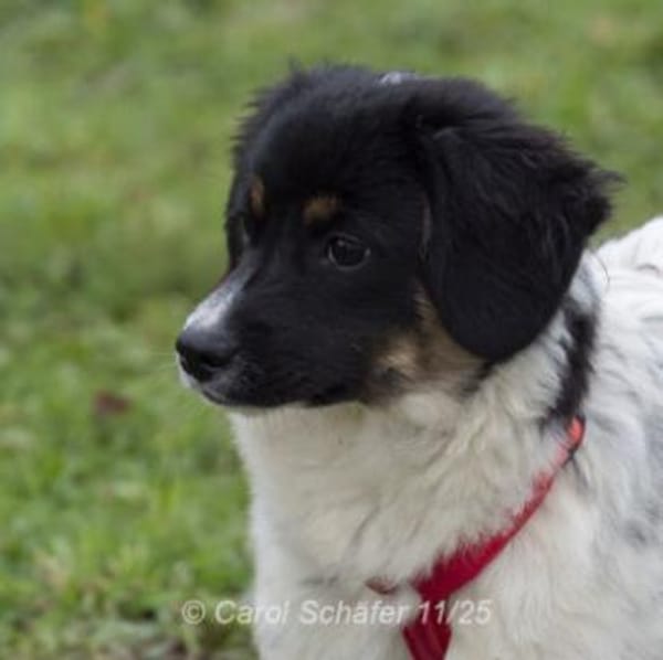 Fiona ist bezaubernd