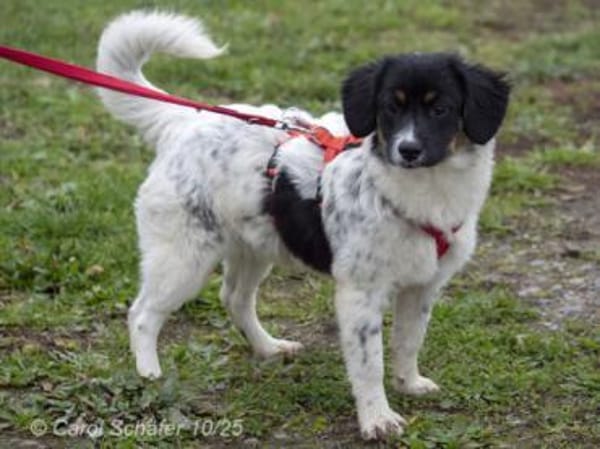 Fiona ist bezaubernd