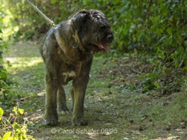 Qunii ist ein lieber Kerl