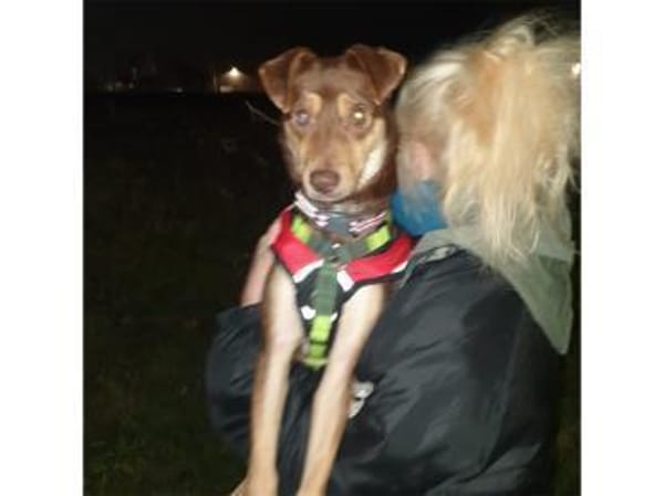 Shawna - wartet in 59199 Bönen