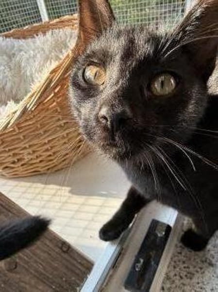 Marta & Marla suchen Spielplatz