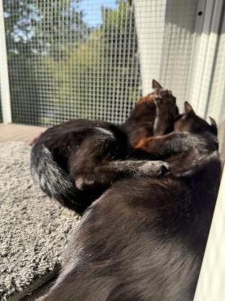 Marta & Marla suchen Spielplatz