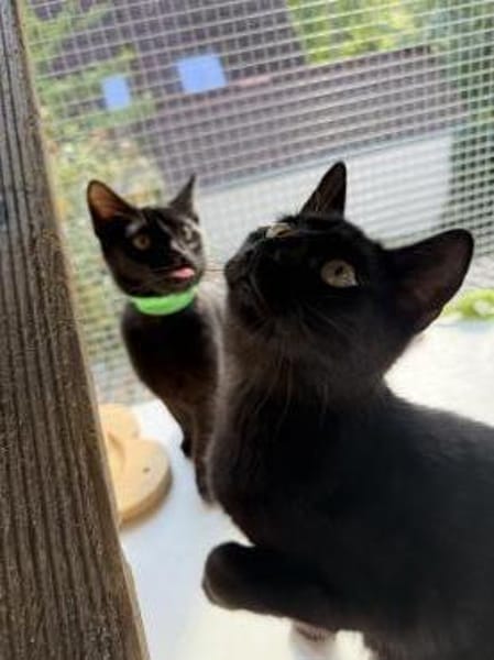 Marta & Marla suchen Spielplatz