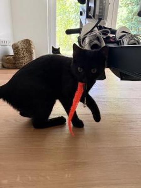 Marta & Marla suchen Spielplatz