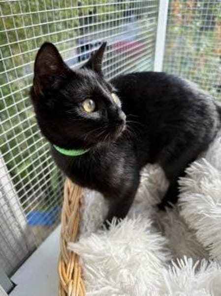 Marta & Marla suchen Spielplatz