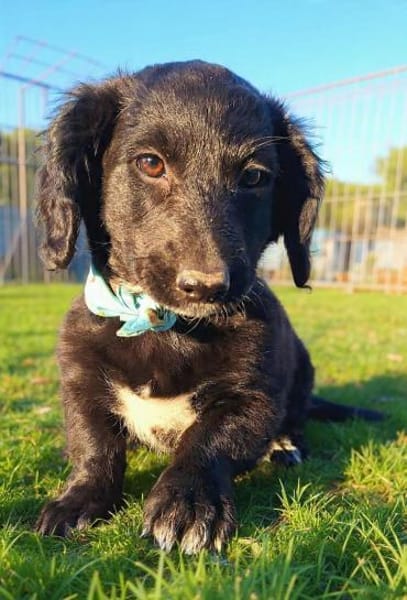 Peaches, super freundlich, lieb (E)