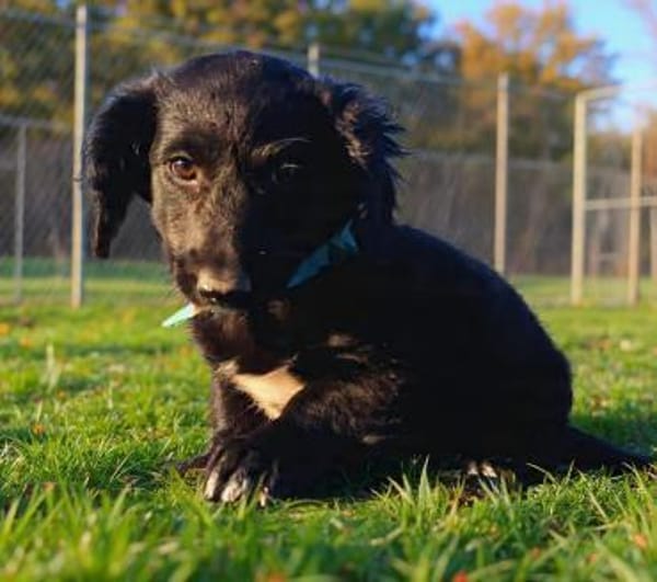 Peaches, super freundlich, lieb (E)