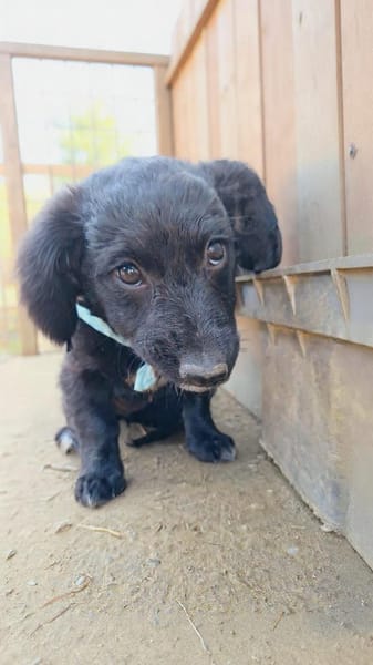 Peaches, super freundlich, lieb (E)