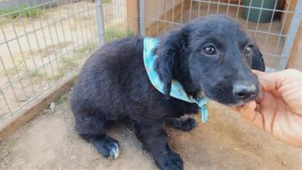 Peaches, super freundlich, lieb (E)