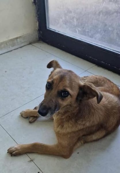 Lass ein Wintermärchen war werden!