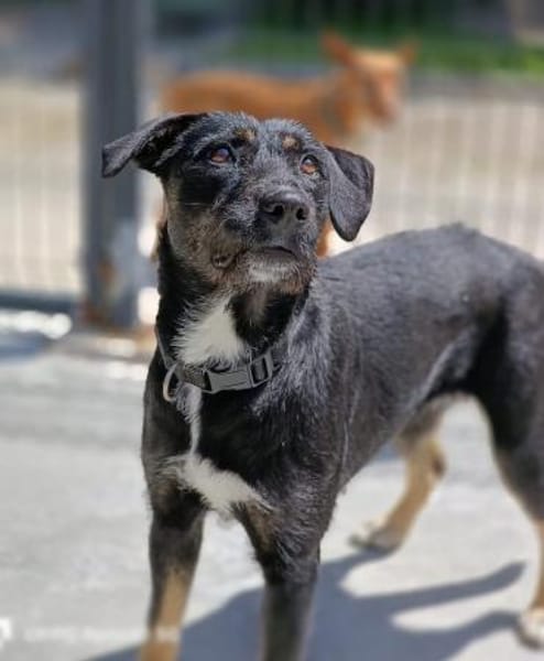 Ein Weihnachtsmärchen für JUNA❤