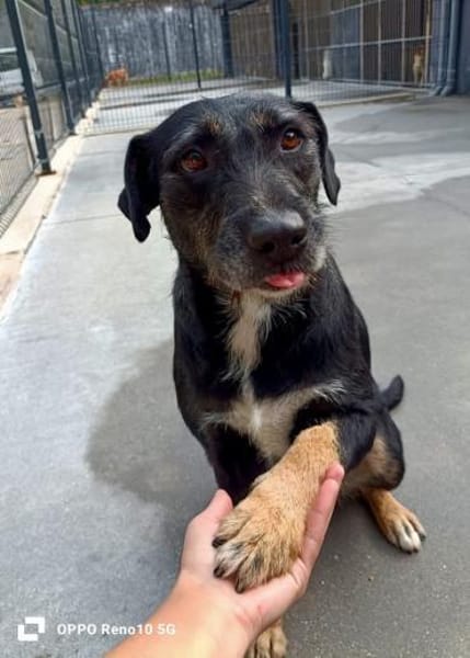 Ein Weihnachtsmärchen für JUNA❤