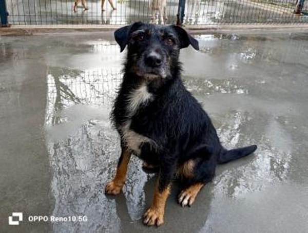 Ein Weihnachtsmärchen für JUNA❤