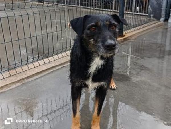 Ein Weihnachtsmärchen für JUNA❤