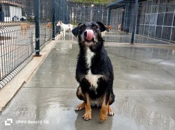 Ein Weihnachtsmärchen für JUNA❤