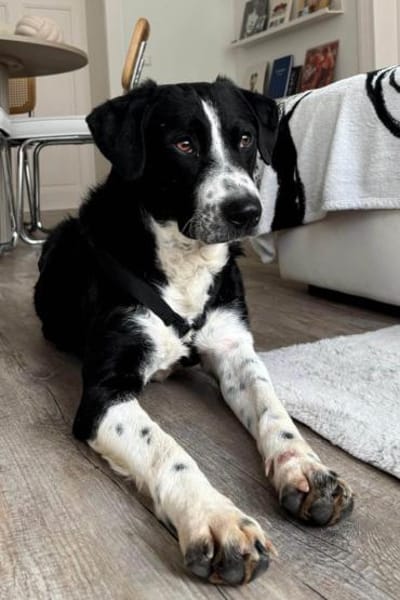 Prinz ♥Vince♥ wartet in 04157 Leipzig