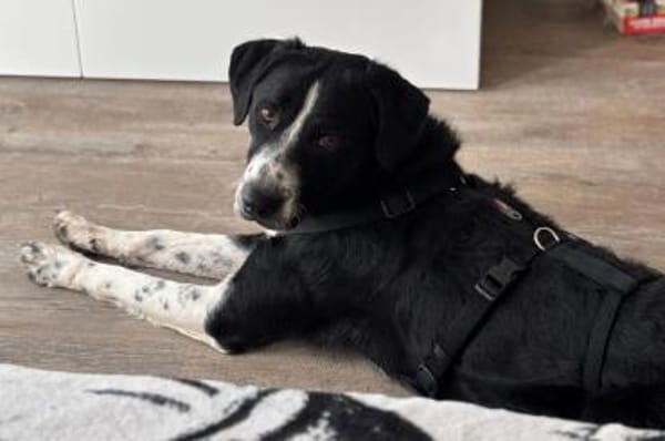 Prinz ♥Vince♥ wartet in 04157 Leipzig