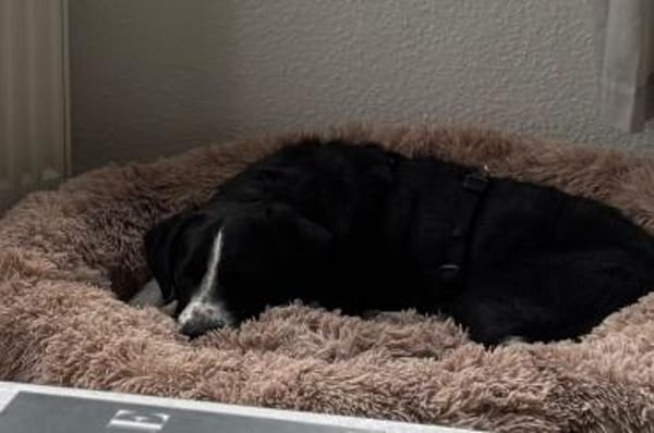 Prinz ♥Vince♥ wartet in 04157 Leipzig