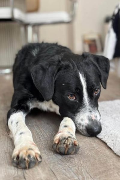 Prinz ♥Vince♥ wartet in 04157 Leipzig