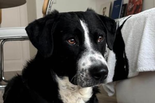 Prinz ♥Vince♥ wartet in 04157 Leipzig