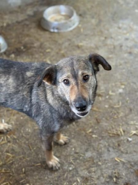 Alva bereit für Liebe, Leben und Lernen