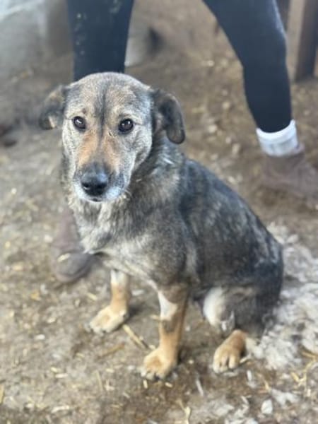 Alva bereit für Liebe, Leben und Lernen