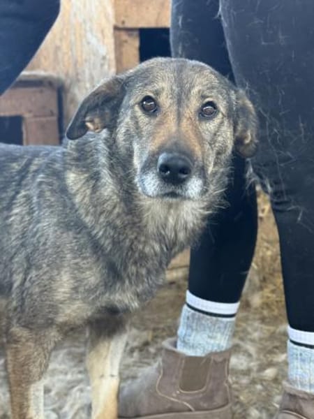 Alva bereit für Liebe, Leben und Lernen