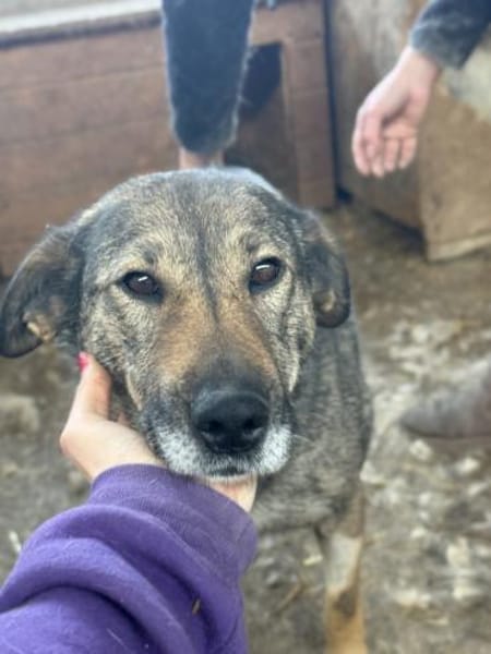 Alva bereit für Liebe, Leben und Lernen