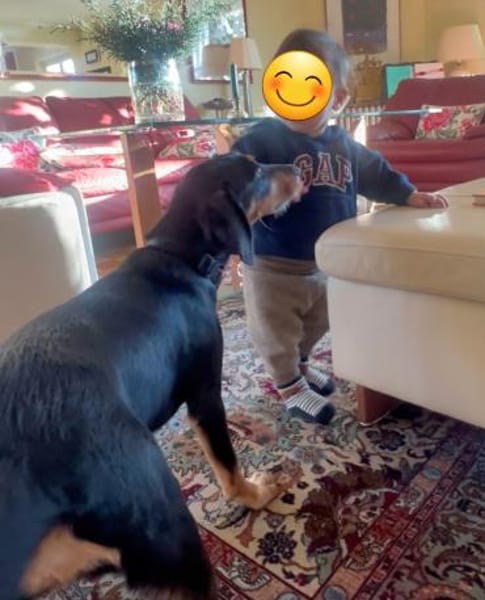 Elara sucht ihre Familie zum Ankommen