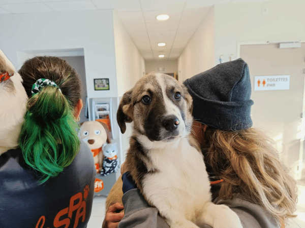 BOUM QCN (réservé)