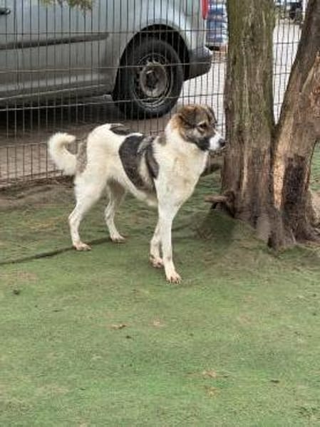 Erika sucht geduldige Menschen