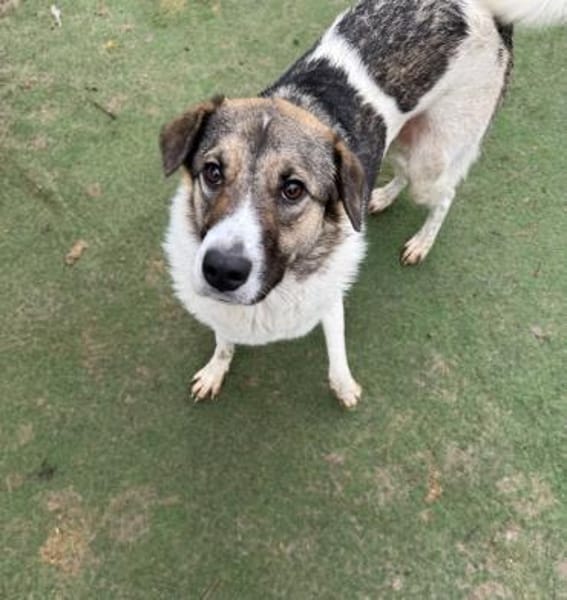 Erika sucht geduldige Menschen