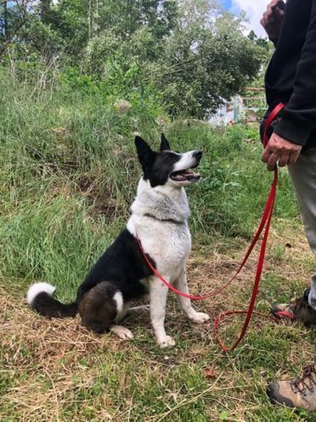 Zelda sucht neue Herausforderungen