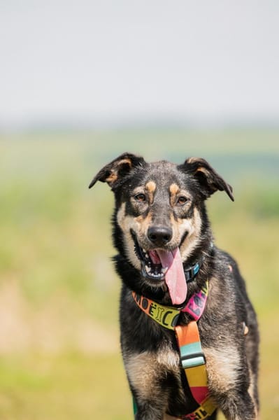 Vivi - eine wahre Schönheit