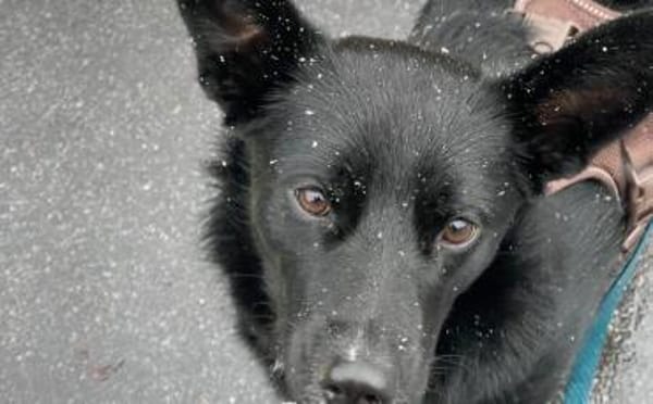 Mave - sensibel und liebevoll