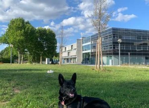 Mave - sensibel und liebevoll