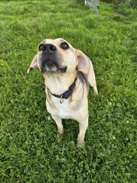 SUNNY  Kämpferherz sucht Ankerplatz