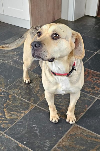 SUNNY  Kämpferherz sucht Ankerplatz