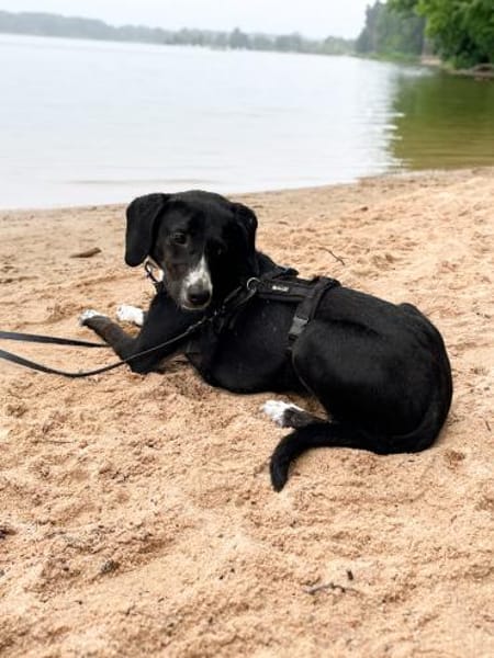 Dua möchte ein -fürimmerzuhause-