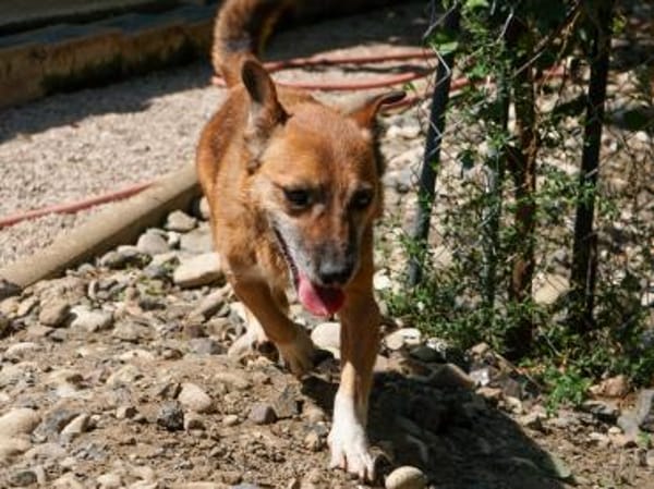 AMON möchte mehr von der Welt sehen