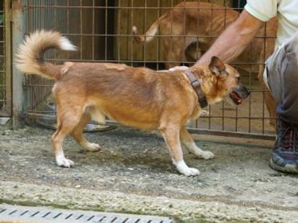 AMON möchte mehr von der Welt sehen