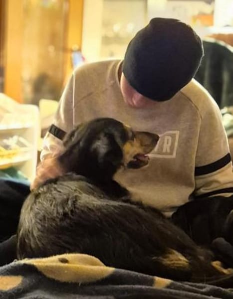 Amaya - eine leise Herzenshündin